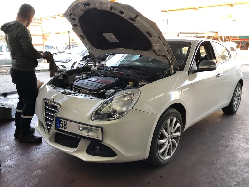 Sivas Renault Servis